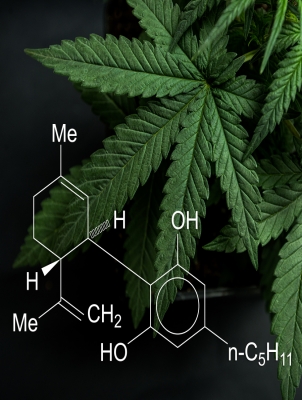 CBD - What Does The Science Say?