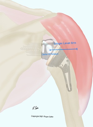 Shoulder Anatomy